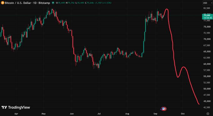 TradingView candlestick chart of Bitcoin/U.S. Dollar (BTC/USD) showing a sharp price decline from around $80,000 down to approximately $43,000, with a hand-drawn red line illustrating the downtrend.