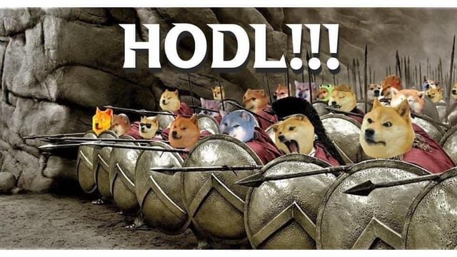 A meme combining the 'This is Fine' dog with a Spartan army formation, captioned 'HODL!!!', depicting dog-headed warriors holding shields and spears.