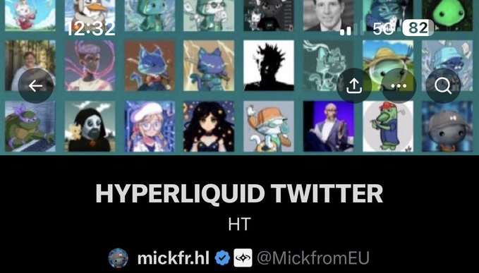 A profile header for 'HYPERLIQUID TWITTER' (HT) by 'mickfr.hl' (@MickfromEU) featuring a grid of NFT-style profile pictures.