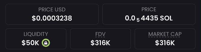 A cryptocurrency dashboard displays metrics for a token with a price of $0.0003238 USD (0.000054435 SOL), $50K liquidity, and a $316K FDV/market cap. The relatively low liquidity and market cap, paired with the post claiming "just found the next 100x," suggests this is a low-cap, high-risk micro-cap token often associated with speculative moonshot claims.