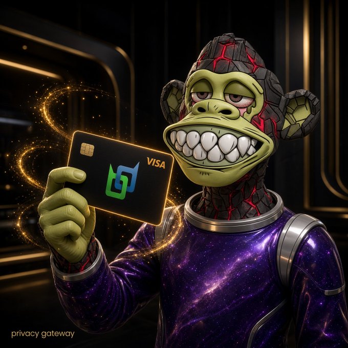 A 3D-rendered cartoon monkey wearing a purple galaxy-patterned spacesuit holding a black 'VISA' bank card, with the text 'privacy gateway' in the bottom left corner.