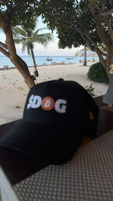 A black baseball cap with a white 'SD' logo, an orange Bitcoin 'B' symbol, and a 'G' sits on a table in the foreground, with a tropical beach, palm trees, and small boats visible in the background.