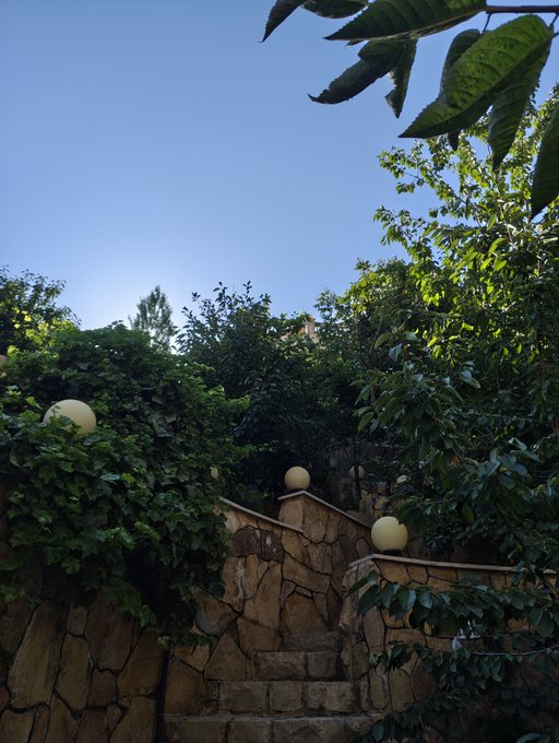 A stone staircase winds upward through lush greenery toward a bright blue sky, with globe-shaped lamps lining the path—a visual metaphor for the relentless climb of Bitcoin, much to the dismay of stubborn short-sellers who refuse to give up.
