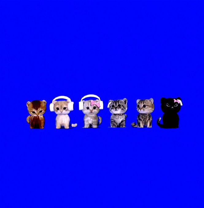 Six small cats lined up in a row against a solid blue background, including kittens wearing white headphones and pink bows.
