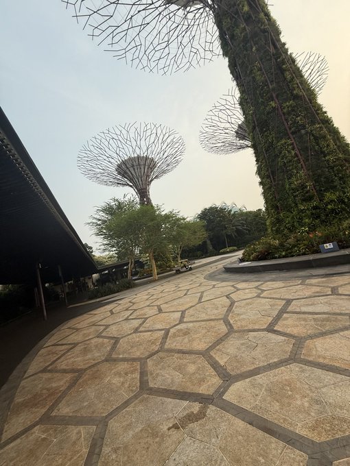 An outdoor scene showing tall tree-like structures with vertical gardens (Supertrees at Gardens by the Bay), with a geodesic dome visible in the distance, and a patterned stone walkway in the foreground.