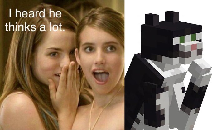 Two young women whispering gossipously with the text "I heard he thinks a lot," next to a Minecraft cat figure in a tuxedo, humorously illustrating the "GM thinkers" meme about people overthinking things, with the caption jokingly referencing the cat thinking about $HMM (the related ticker).