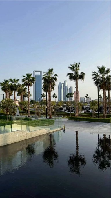 A scenic view of palm trees and modern skyscrapers in Abu Dhabi, with a reflective pool in the foreground capturing the city skyline.