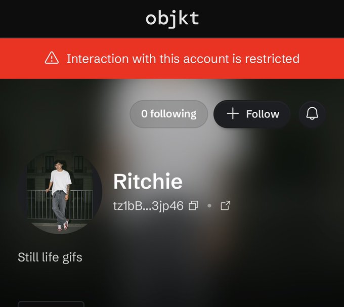 A screenshot of an objkt profile for user 'Ritchie' with wallet address tz1bB...3jp46, showing 0 following and a 'Still life gifs' banner, but with a red warning that 'Interaction with this account is restricted.'