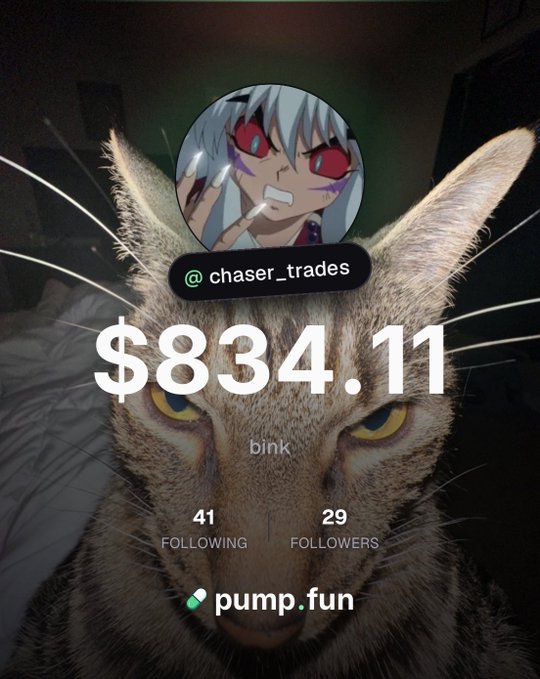 A meme-like profile graphic with a cat photo displays “@chaser_trades,” “$834.11,” “bink,” “41 FOLLOWING,” “29 FOLLOWERS,” and “pump.fun.”