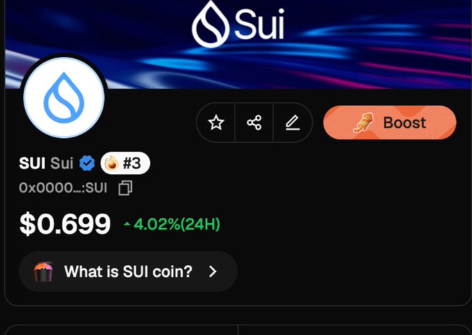 A Sui cryptocurrency info page displays the SUI token at $0.699, up 4.02% in 24H, with a 'Boost' button and contract address 0x0000...SUI.
