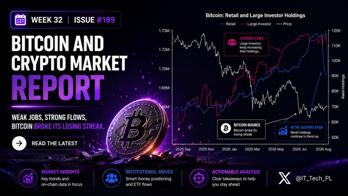 A promotional graphic for Week 32, Issue #189 of a "Bitcoin and Crypto Market Report" featuring a chart titled "Bitcoin: Retail and Large Investor Holdings" showing retail holdings declining while large investor holdings increased, with annotations for "Strong Flows" and "Bitcoin Bounce." The image ties to the post by visually illustrating the contrast between retail selling 23,300 BTC while whales accumulated, alongside the $1.1B ETF inflows and Bitcoin's bounce off 62K toward 65K mentioned in the caption.