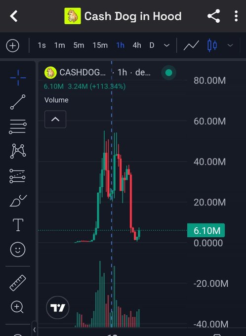 A TradingView chart for the "Cash Dog in Hood" (CASHDOG) token showing a price of 6.10M with a +113.84% gain on the 1-hour timeframe, displaying a volatile volume spike pattern.