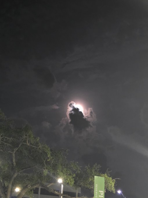 A nighttime photograph of the moon glowing behind dark clouds in the sky, with tree branches and a streetlamp visible in the lower portion of the frame.