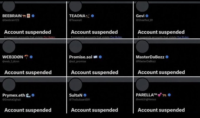 A grid of X (Twitter) accounts that have been suspended, including handles such as BEEBRAIN, TEAONA, Gevi, WCB3D0N, Promise.sol, MasterDaBozz, Prymex.eth, SultaN, and PARELLA.