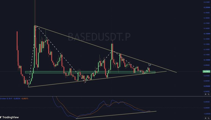 A TradingView candlestick chart of BASEDUSDT.P shows price action consolidating within a descending wedge pattern, with the ticker locked around the 0.08 support level (marked at 0.08445) defended multiple times, while the RSI indicator below shows a bullish divergence with momentum quietly rising beneath lower highs in price.