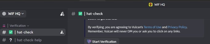Screenshot of a Discord interface showing the 'WIF HQ' server with a 'hat-check' channel displaying a Vulcan verification prompt and a 'Start Verification' button.