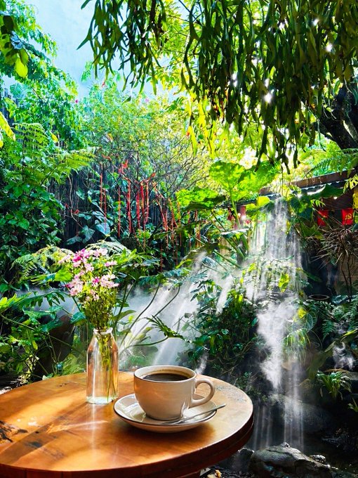 A serene garden scene featuring a small waterfall surrounded by lush greenery, with a cup of coffee and a vase of flowers on a wooden table in the foreground.