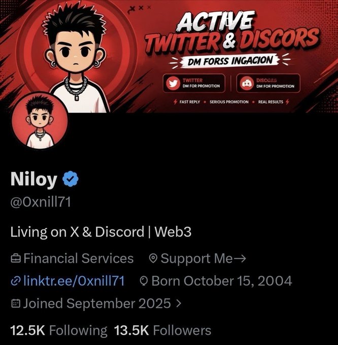 Twitter/X profile for 'Niloy' (@0xnill71), a Web3 personality offering Twitter and Discord DM promotion services, with 12.5K following and 13.5K followers, joined September 2025.