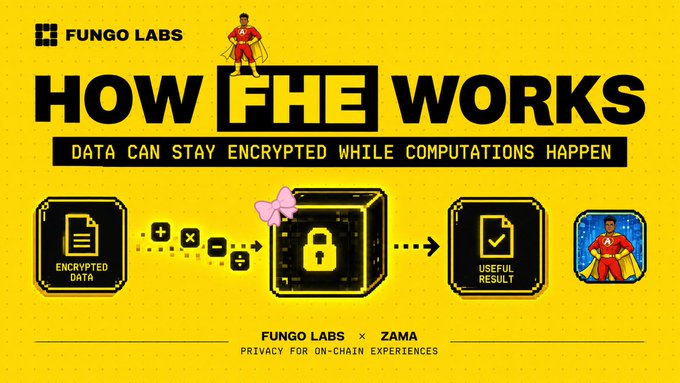 A Fungo Labs infographic titled 'HOW FHE WORKS' explaining Fully Homomorphic Encryption with the tagline 'Data can stay encrypted while computations happen,' in partnership with Zama.
