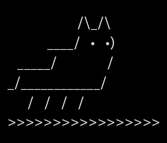 ASCII art depicting a cat with a surprised expression formed by dots and parentheses, with its body made of horizontal and diagonal lines, standing above a row of greater-than symbols.