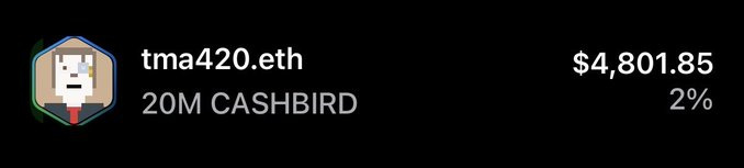A profile card displays the username "tma420.eth" with the tagline "20M CASHBIRD" alongside a $4,801.85 value (2%), featuring a pixelated bird avatar. This visually represents the post's claim of aligning holdings with another wallet ("this mfer") on the Cash Cat launchpad, tied to the referenced Ethereum address.