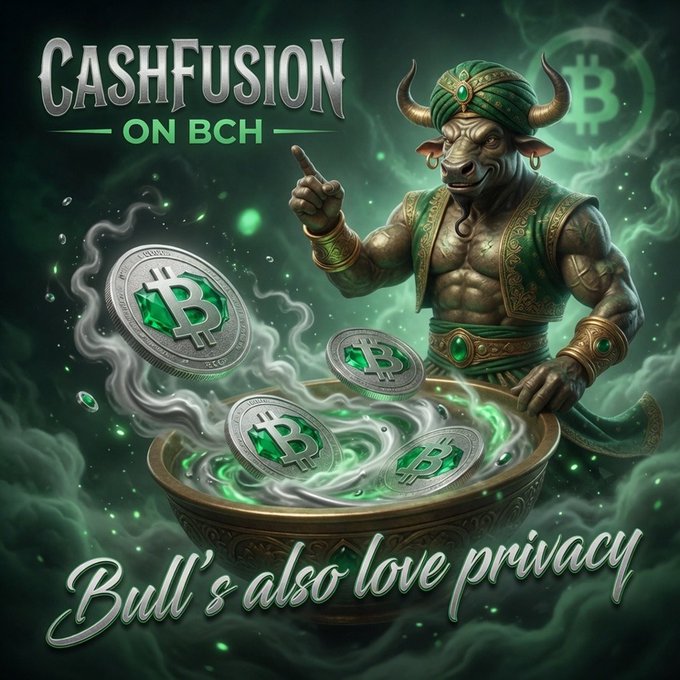 Promotional artwork for 'CASHFUSION ON BCH' featuring a muscular minotaur character stirring a magical cauldron filled with Bitcoin Cash coins, with the tagline 'Bull's also love privacy'.