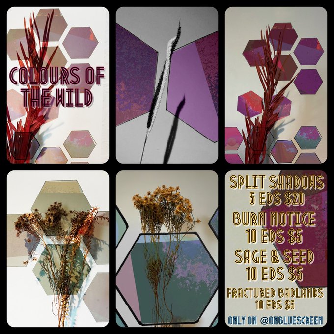 A promotional collage titled 'COLOURS OF THE WILD' advertising digital art items including 'SPLIT SHADOWS 5 EDS $20', 'BURN NOTICE 10 EDS $5', 'SAGE & SEED 10 EDS $5', and 'FRACTURED BADLANDS 10 EDS $5', available 'ONLY ON @ONBLUESCREEN'.