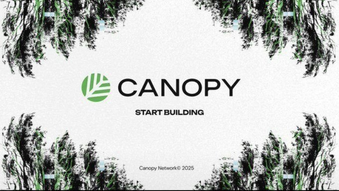 A minimalist graphic design featuring the 'CANOPY' logo with 'START BUILDING' text, framed by abstract black and green brushstroke patterns resembling tree branches, with 'Canopy Network © 2025' at the bottom.
