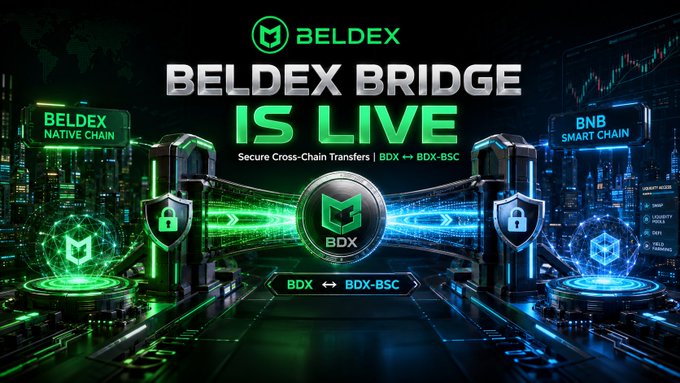 A promotional graphic for 'BELDEX BRIDGE IS LIVE' advertising secure cross-chain transfers between BDX (BELDEX NATIVE CHAIN) and BDX-BSC (BNB SMART CHAIN) with a futuristic green and blue design.