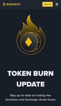 A Binance webpage with a black and gold flame logo titled 'TOKEN BURN UPDATE' with the subtitle 'Stay up-to-date on trading-fee donations and exchange-driven burns.'