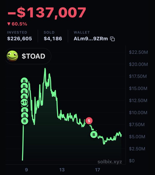 A portfolio tracker from solbix.xyz shows a devastating -$137,007 loss (60.5%) on $TOAD holdings, with the wallet "ALm9...9ZRm" having invested $226,605 against only $4,186 sold. The chart illustrates the dramatic peak-and-crash pattern, with multiple buy-ins ("B" markers) clustered near the top around $17-20M and a subsequent sell ("S") near $6M as the token's value collapsed toward the $5M range.