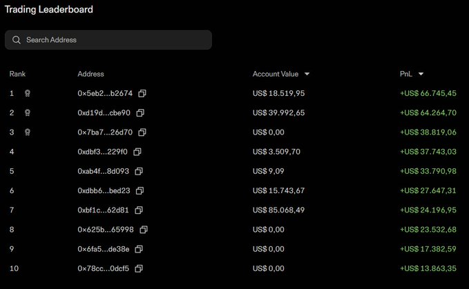 A 'Trading Leaderboard' interface displays a ranked list of cryptocurrency wallet addresses, showing their 'Account Value' and 'PnL' (Profit and Loss), with the top entry being '0x5eb2...b2674' at US$ 18.519,95 with +US$ 66.745,45 PnL.