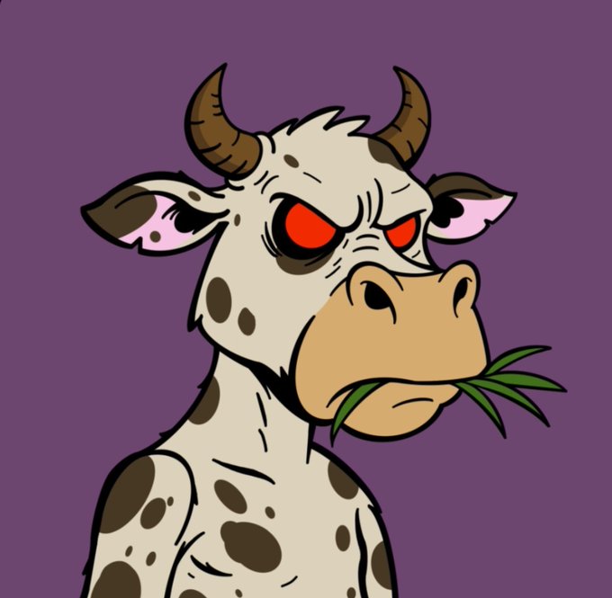 A cartoon illustration of an angry white cow with brown spots and red eyes chewing grass against a purple background.