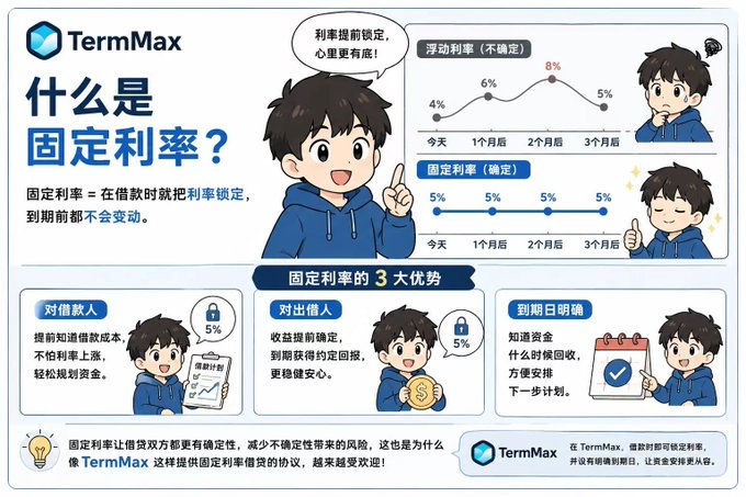 An infographic titled '什么是固定利率?' (What is a fixed interest rate?) from TermMax, explaining the concept with illustrations of a character showing that fixed rates remain stable at 5% over time while variable rates fluctuate between 4% and 8%.