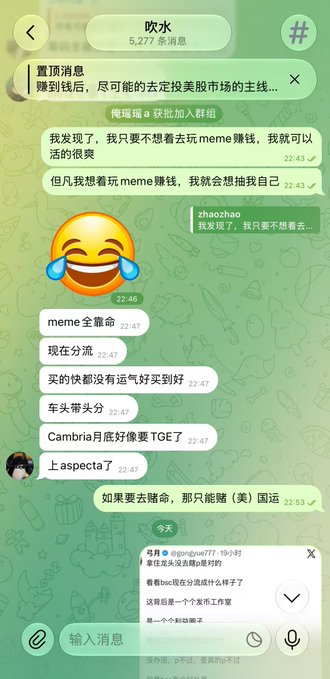 A chat application screenshot displays a group conversation in Chinese discussing meme coins and mentioning 'meme赚钱', 'zhaozhao', 'Cambria', and 'aspecta', with various messages and timestamps visible.
