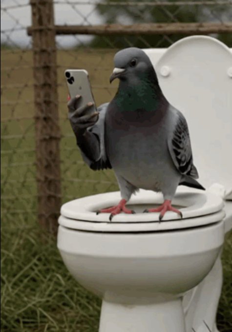 A pigeon stands on a toilet holding a smartphone in an outdoor setting, humorously depicting the post's narrative of someone casually building an airdrop system "from a BlackBerry, while shitting," with the absurdity of the image reinforcing the post's message about airdrops and "jeets" getting nothing.