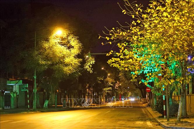 The image shows a street at night with trees lining both sides, creating a serene atmosphere. There are two streetlights illuminating the scene, casting light onto the sidewalk where people can be seen walking or standing. The photo has been captioned by @quipnetwork, who is promoting an NFT called "Quantum Echoes" on social media platforms. The post highlights that it's more than just a whitelist opportunity; it's also about engaging early and building one's reputation within the community.