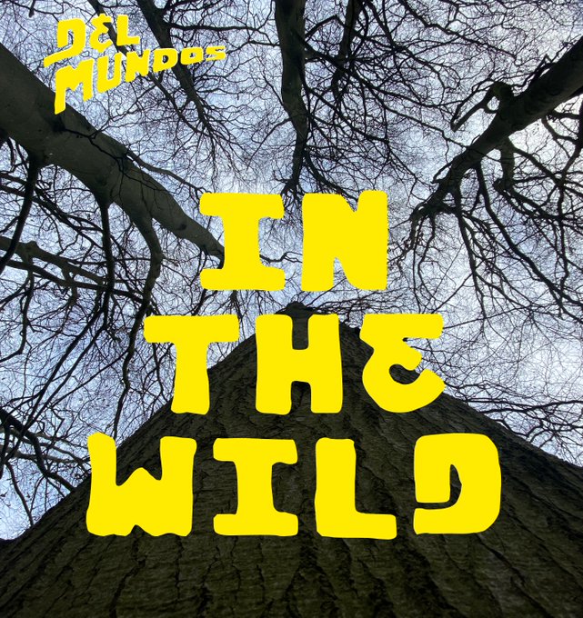 Album cover featuring a low-angle view of a large tree reaching up to a cloudy sky, with yellow stylized text reading "DEL MUNDOS" at the top left and "IN THE WILD" centered across the image.