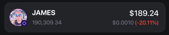 A dark interface card displays the name "JAMES," a price of $189.24, a balance of 190,309.34, and a change of $0.0010 (-20.11%) in red, with a profile photo.