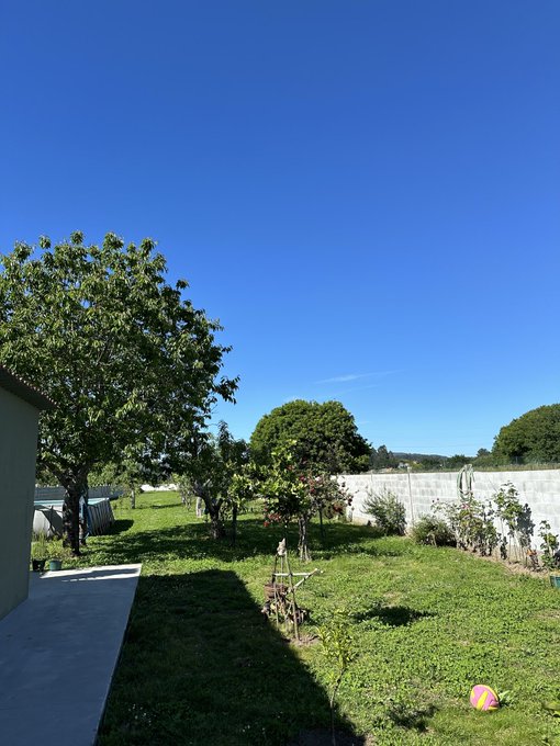 A sunny backyard with lush green trees, a garden, and a colorful ball sits under a clear blue sky, capturing the bright, cheerful vibe of a happy Wednesday. The peaceful outdoor scene complements the post's cheerful greeting to friends.