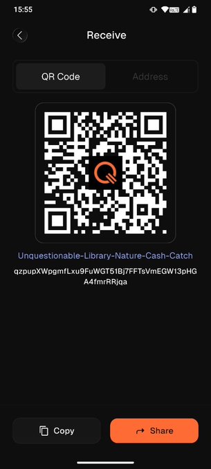 A cryptocurrency wallet app screenshot showing a "Receive" screen with a QR code and address "qzupXWpgmfLxu9FuWGT51Bj7FFT5VmEGW13pHGA4fmrRRjqa" with Copy and Share buttons.