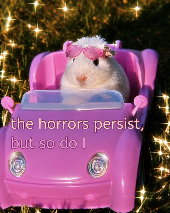 A fluffy guinea pig wearing pink sunglasses sits in a small pink toy car surrounded by sparkle effects, with the caption "the horrors persist, but so do I".
