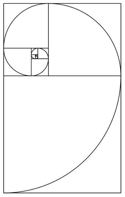 A geometric line drawing of a Fibonacci spiral and golden rectangle sequence on a white background.