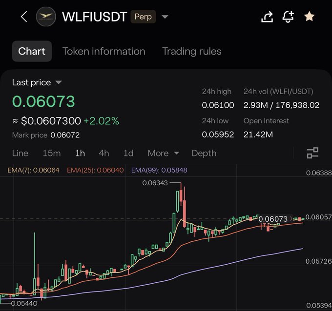 A cryptocurrency trading chart for WLFI/USDT perpetual showing a last price of 0.06073 (+2.02%) with candlestick data, EMA indicators, and a 24h high of 0.06100.
