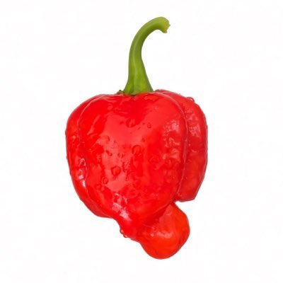 A glossy red habanero or similar chili pepper with a green stem, covered in water droplets against a white background.