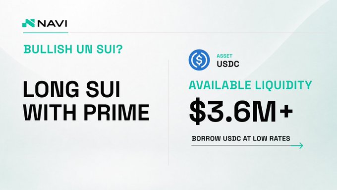 A NAVI Protocol promotional banner titled 'BULLISH ON SUI? - LONG SUI WITH PRIME,' highlighting over $3.6M+ in available USDC liquidity for borrowing at low rates.