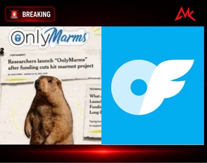 A breaking news graphic featuring 'OnlyMarms' - a meme cryptocurrency referencing research funding cuts to a marmot project, alongside the OnlyFans logo.