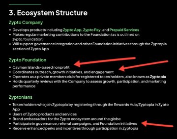 The image features a slide with three bullet points about Zytpo, a non-profit organization based in the Cayman Islands. The first point highlights that Zytpo is a non-profit organization focused on building an ecosystem for Web3 Apps. The second point mentions that the company operates as a private club and hosts members who join the club by providing tokens to the Foundation. The third point explains that the Foundation also supports other Foundation initiatives through its token holdings, which are then used to fund projects in various sectors such as education, healthcare, and more.