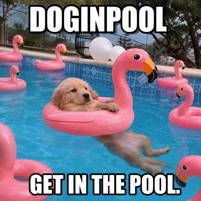 Meme image of a puppy floating on a pink flamingo inflatable in a pool surrounded by other flamingo floats, with bold text 'DOGINPOOL' at the top and 'GET IN THE POOL.' at the bottom.