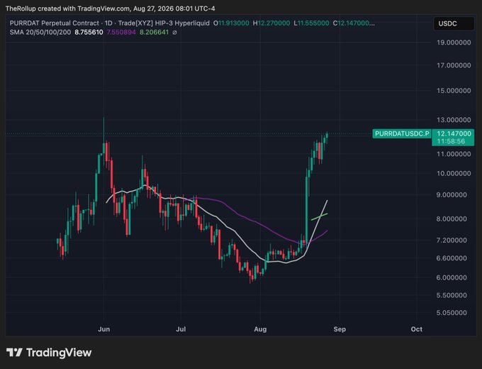 A TradingView chart of the PURRDAT perpetual contract (PURR/USDC) on Hyperliquid, showing price action from June through August 2026 with a strong rally from ~$6 lows to $12.15, alongside three moving averages (SMA 20/50/100/200 at 8.75, 7.55, and 8.21). The post frames this breakout as bullish positioning around $PURR earnings, citing Hyperliquid's breakout potential, Druckenmiller's involvement, and Schamis/Diamond's $1.4B unrealized PnL on $HYPE holdings.